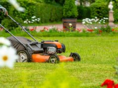 Budget-Friendly Lawn Maintenance Tips Lawn Maintenance
