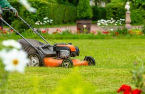 Budget-Friendly Lawn Maintenance Tips Lawn Maintenance