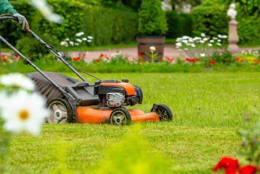 Budget-Friendly Lawn Maintenance Tips Lawn Maintenance