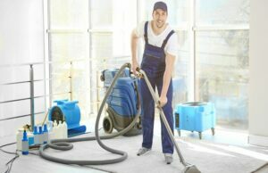 The Main Reasons To Use Professional Carpet Cleaners Professional Carpet Cleaners