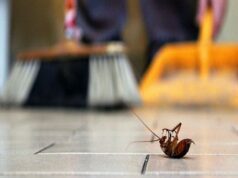 Learn the best technique to get rid of pests get rid of pests