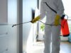 Beneficial Tips To Prevent Pests In And Around Your House House Prevent Pests