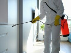 Beneficial Tips To Prevent Pests In And Around Your House House Prevent Pests