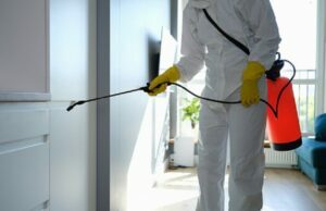 Beneficial Tips To Prevent Pests In And Around Your House House Prevent Pests