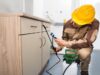Quick Pest Control Tips For Businesses Pest Control