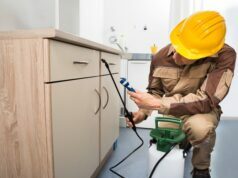 Quick Pest Control Tips For Businesses Pest Control