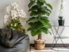 How To Secure Artificial Plants In Pots Artificial Plants In Pots