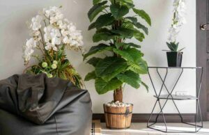 How To Secure Artificial Plants In Pots Artificial Plants In Pots