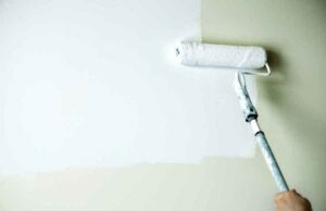 All You Need To Know About Anti Mould Paint anti mould paint