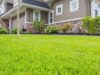 Crafting Your Dream Lawn: The Case for Hiring Professionals Dream Lawn