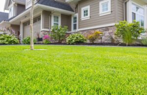 Crafting Your Dream Lawn: The Case for Hiring Professionals Dream Lawn
